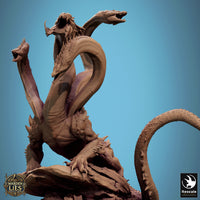 Lop-250455 Nox Hydra