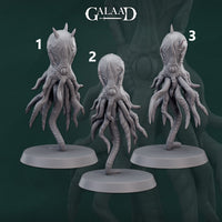 Gaa-240906 Octopus