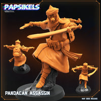 Pap-250509 PANDACAN ASSASSIN