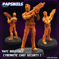 pap-2403c10 PAPZ INDUSTRIES CYBERNETIC CHIEF SECURITY 1