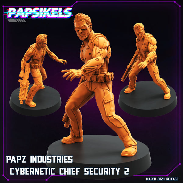 pap-2403c11 PAPZ INDUSTRIES CYBERNETIC CHIEF SECURITY 2