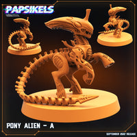 pap-2209s07 PONY ALIEN A