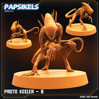 pap-2209s10 PROTO KEELER B