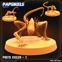 pap-2209s11 PROTO KEELER C