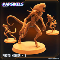 pap-2209s13 PROTO KEELER E