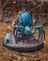 Stlxm-240239 Phase Spider