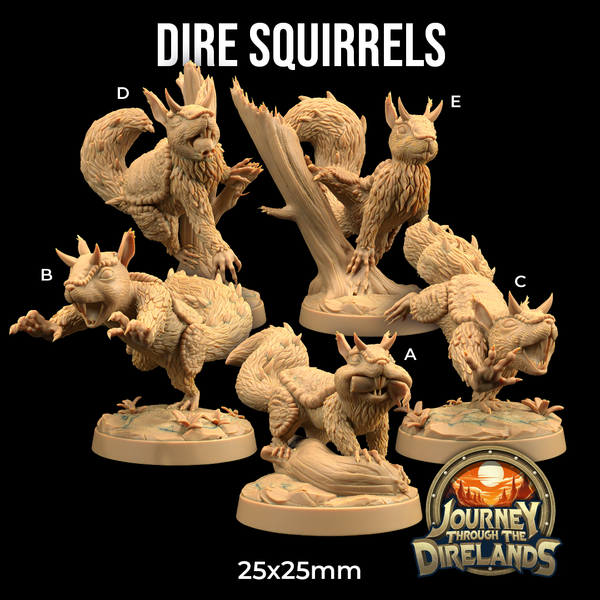 dt-240406 Dire Squirrels