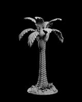 Stlxm-24062714 Palm Tree