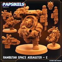 pap-2210s14 RAMBUTAN SPACE ASSAULTERS SET 2E