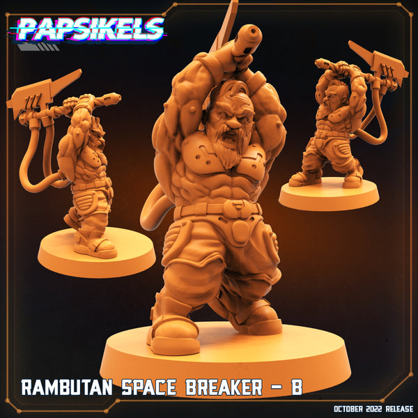 pap-2210s17 RAMBUTAN SPACE BREAKER B