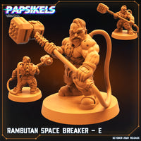 pap-2210s20 RAMBUTAN SPACE BREAKER E