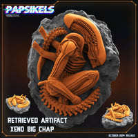 pap-2410s20 RETRIEVED ARTIFACT XENO BIG CHAP