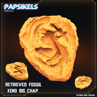 pap-2410s21 RETRIEVED FOSSIL XENO BIG CHAP