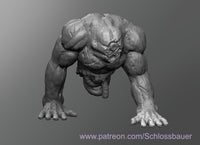 Shls-250303 Reanimated Giant Torso
