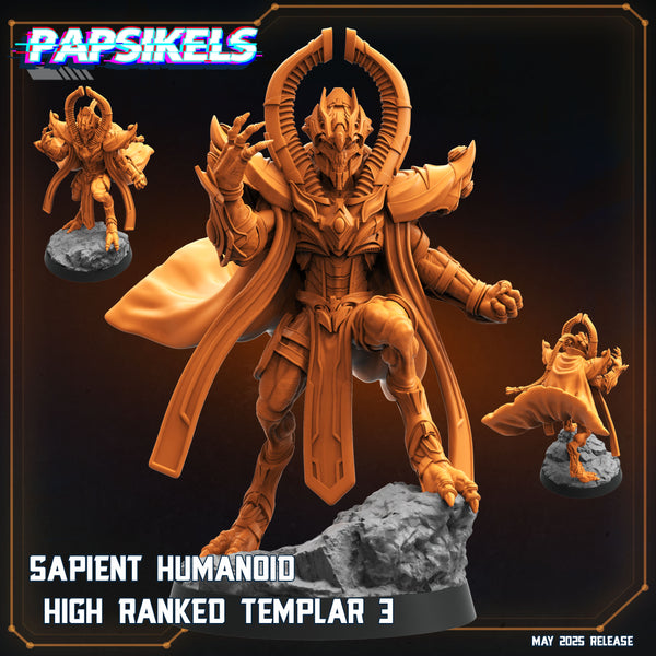 pap-2505s43 SAPIENT HUMANOID HIGH RANKED TEMPLAR 3