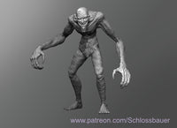 Shls-241208 SCP 4666