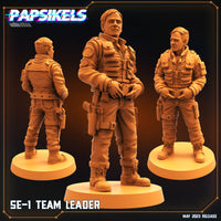 pap-2305s18 SE 1 TEAM LEADER