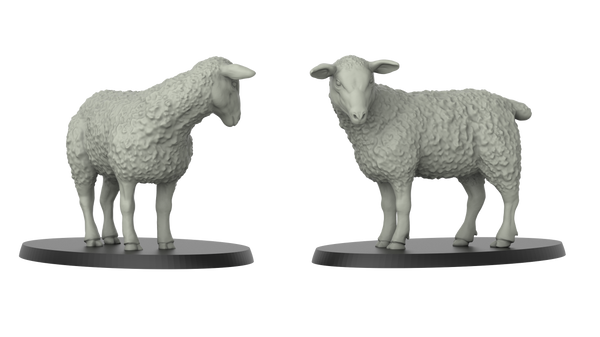 3ip-ani0240 SHEEP