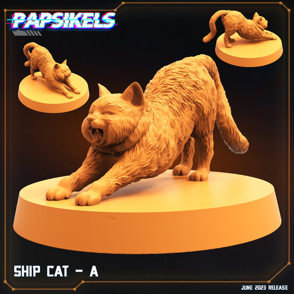 Pap-230601 SHIP CAT A
