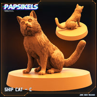 Pap-230604 SHIP CAT C