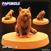 Pap-230605 SHIP CAT D