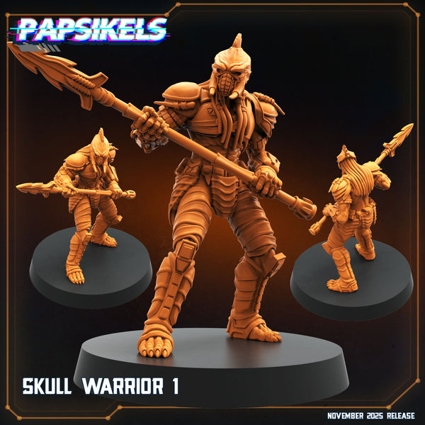 pap-2511s35 SKULL WARRIOR1