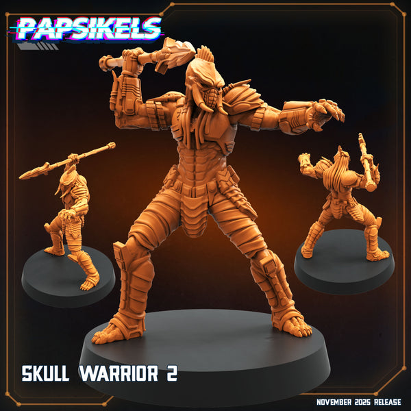 pap-2511s36 SKULL WARRIOR2