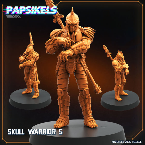 pap-2511s39 SKULL WARRIOR5