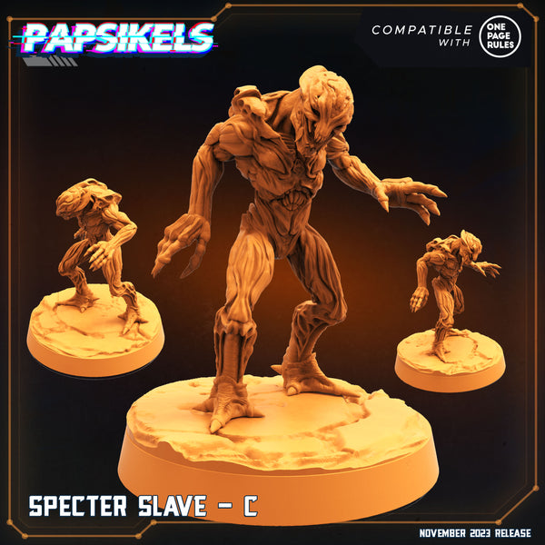 pap-2311s24 SPECTER SLAVE C