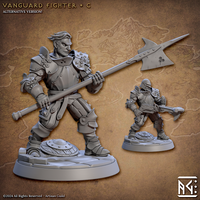 ag-240608 Vanguard Fighter C