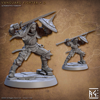 ag-240609 Vanguard Fighter D