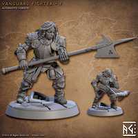 ag-240611 Vanguard Fighter F