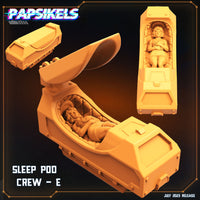 pap-2307s12 HYBERNATING CREW E