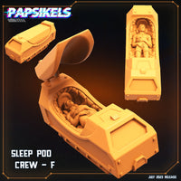 pap-2307s13 HYBERNATING CREW F