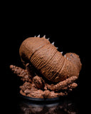 Stlxm-24062710 Sandworm