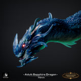 Lop-260324 Sapphire Dragon Adult