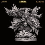 Ccm-260709 SARIEL