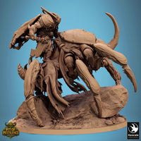 Lop-250728 Scarab Host Guard