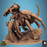 Lop-250728 Scarab Host Guard
