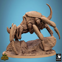 Lop-250728 Scarab Host Guard
