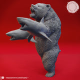 YKS-shkbr Sharken Bear