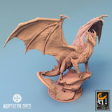 Lop-240446 Silver Dragon Cliff