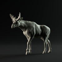 DinD-230810 Sivatherium walking