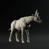 DinD-230810 Sivatherium walking