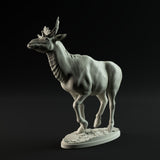 DinD-230809 Sivatherium