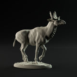 DinD-230809 Sivatherium