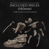 Nrk-260202 Lierin The Drow Fighter