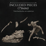 Nrk-260202 Lierin The Drow Fighter