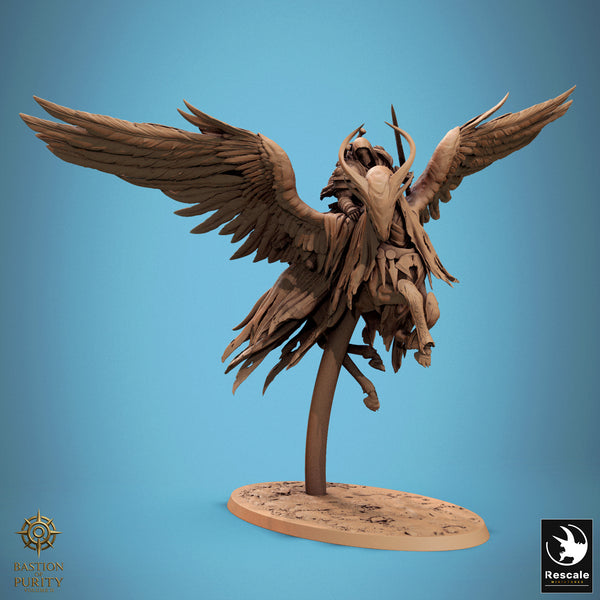 Lop-250840 Sky Sentinel FlyA