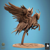 Lop-250840 Sky Sentinel FlyA